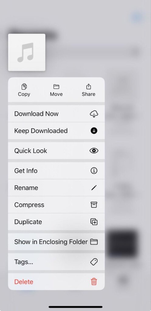 Tocca e tieni premuto il file su iPhone