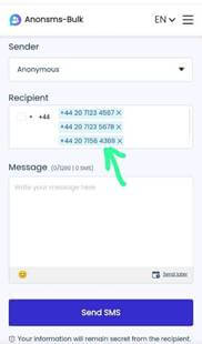 anonsms bulk page