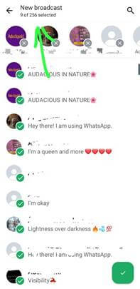 whatsapp contact