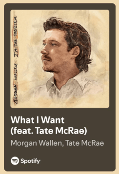 what i want song